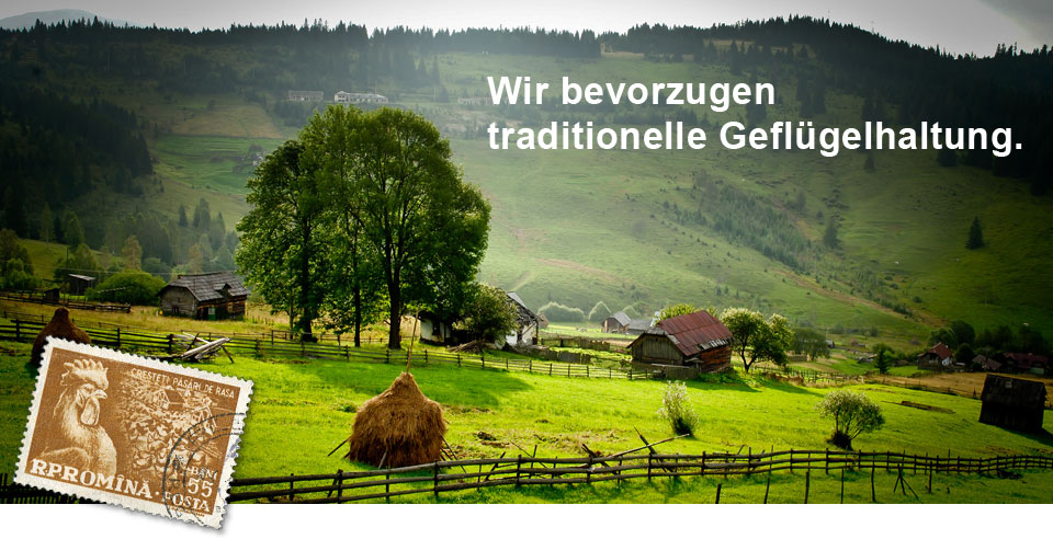 Geflügelprodukte Rumänien