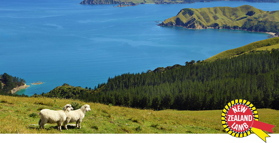 Lammprodukte aus Neuseeland